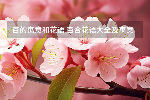 百的寓意和花语 百合花语大全及寓意