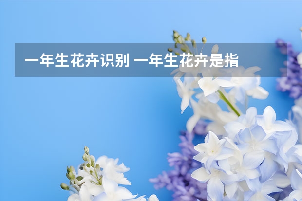 一年生花卉识别 一年生花卉是指