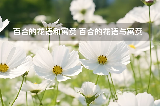 百合的花语和寓意 百合的花语与寓意是什么