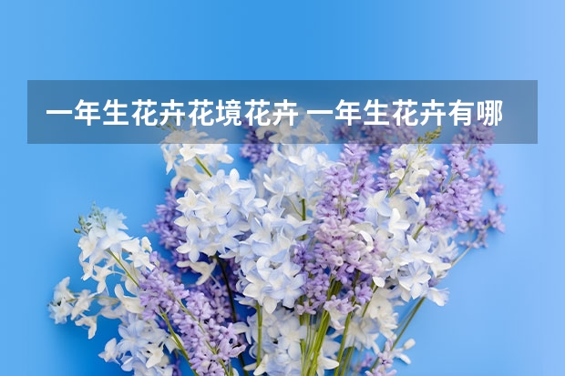 一年生花卉花境花卉 一年生花卉有哪些