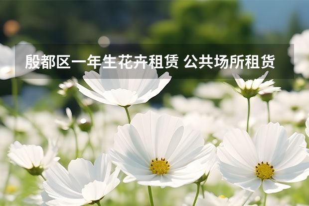 殷都区一年生花卉租赁 公共场所租货花卉年租标准