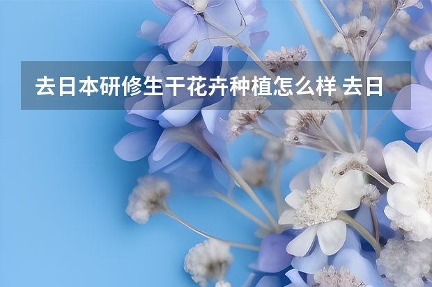 去日本研修生干花卉种植怎么样 去日本当研修生，有可能留在日本生活吗？