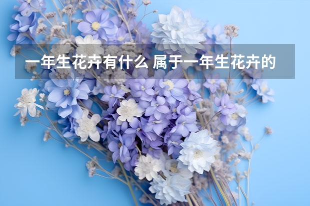 一年生花卉有什么 属于一年生花卉的是