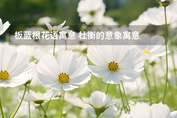 板蓝根花语寓意 杜衡的意象寓意