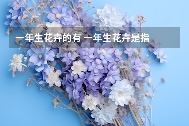 一年生花卉的有 一年生花卉是指