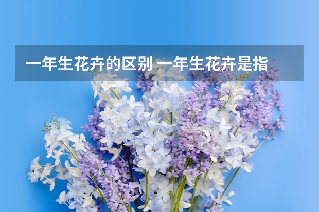 一年生花卉的区别 一年生花卉是指 一年生花卉是指什么