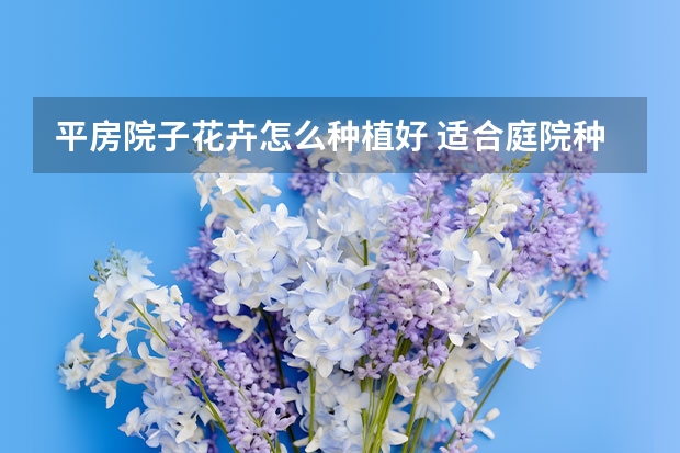 平房院子花卉怎么种植好 适合庭院种植的花卉有哪些？ 庭院花卉大全