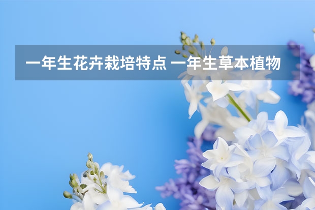 一年生花卉栽培特点 一年生草本植物的特性是怎么样的？