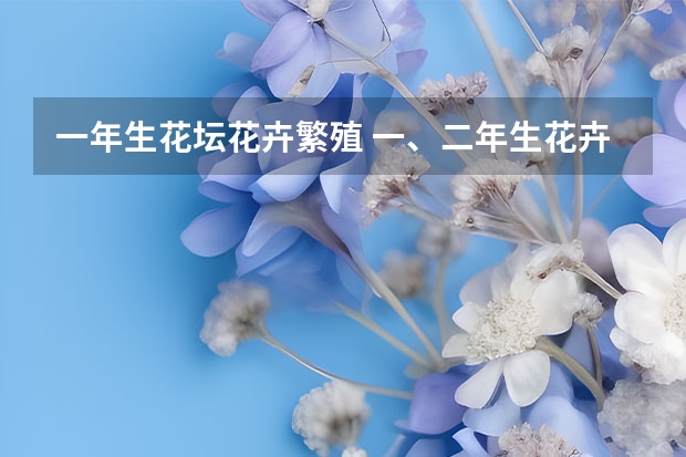 一年生花坛花卉繁殖 一、二年生花卉的特点与栽培管理要点？