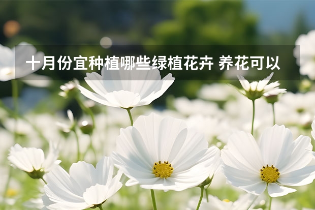 十月份宜种植哪些绿植花卉 养花可以给空间增添生机，哪些花朵四季都适合养植？