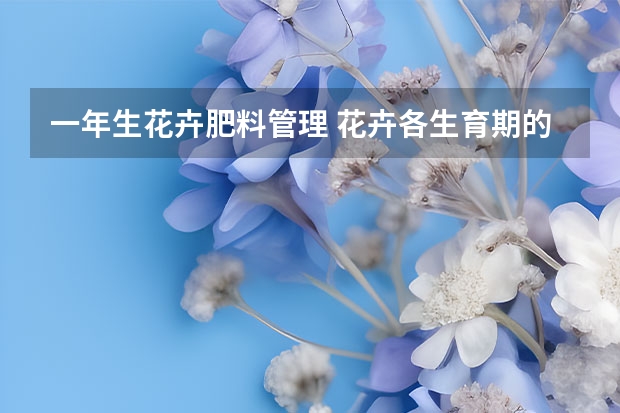 一年生花卉肥料管理 花卉各生育期的需肥特性是什么？