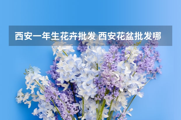 西安一年生花卉批发 西安花盆批发哪里最便宜