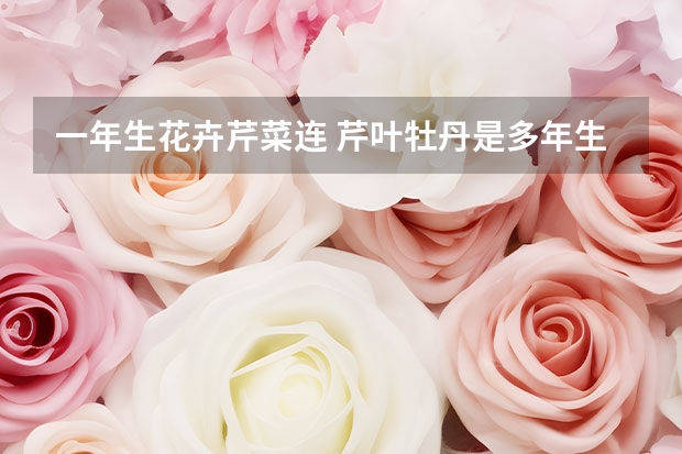 一年生花卉芹菜连 芹叶牡丹是多年生还是一年生?