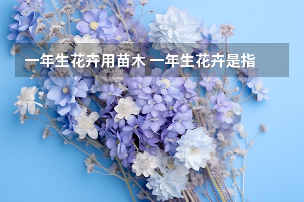 一年生花卉用苗木 一年生花卉是指