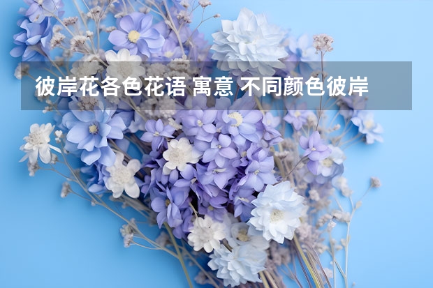 彼岸花各色花语 寓意 不同颜色彼岸花花语