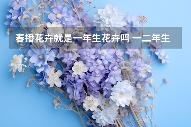 春播花卉就是一年生花卉吗 一二年生花卉是指什么,有哪些类型