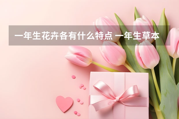 一年生花卉各有什么特点 一年生草本花卉有哪些