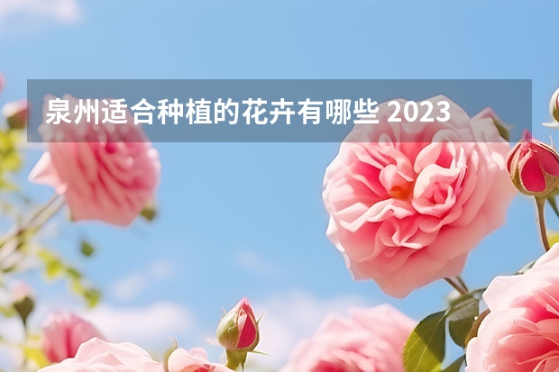 泉州适合种植的花卉有哪些 2023泉州附近哪里樱花最好看