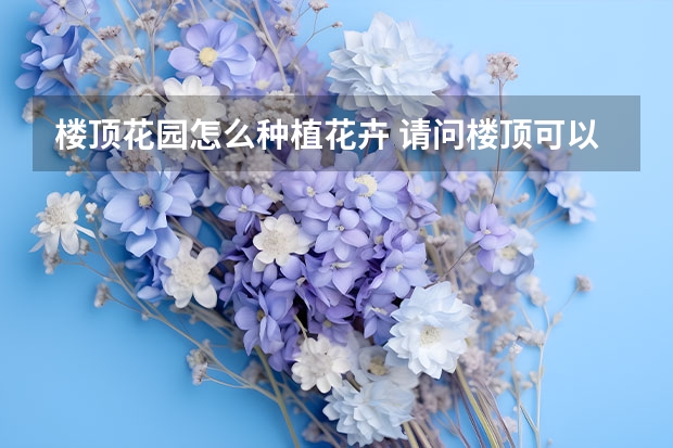 楼顶花园怎么种植花卉 请问楼顶可以养花吗？怎么养好？