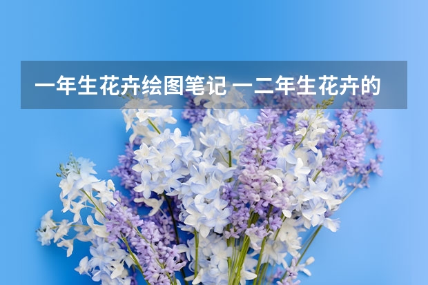 一年生花卉绘图笔记 一二年生花卉的分类识别