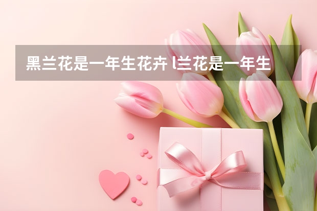 黑兰花是一年生花卉 l兰花是一年生还是多年生的？年年都开花吗？