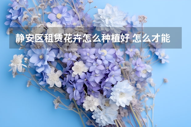 静安区租赁花卉怎么种植好 怎么才能种好花 应该从这些方面入手