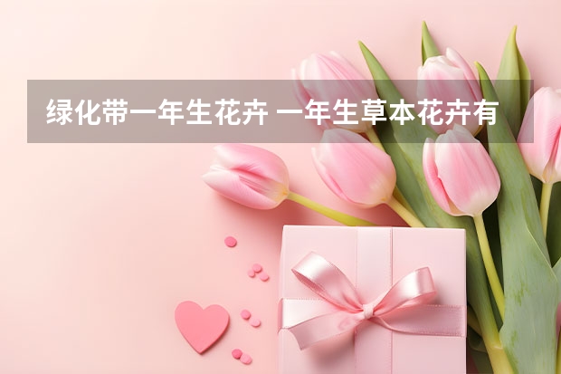 绿化带一年生花卉 一年生草本花卉有哪些特点？