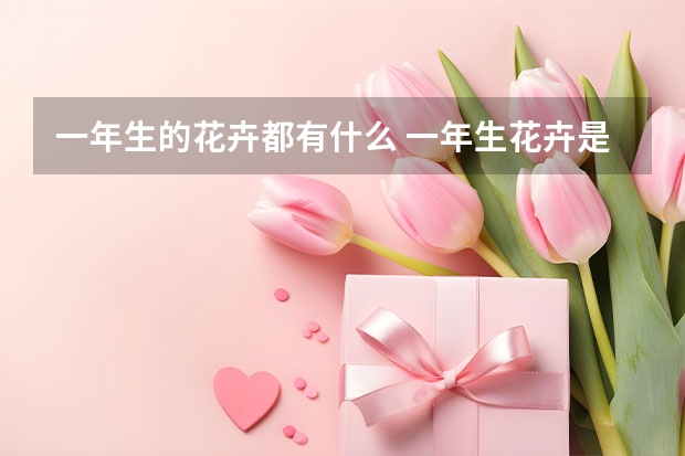 一年生的花卉都有什么 一年生花卉是指