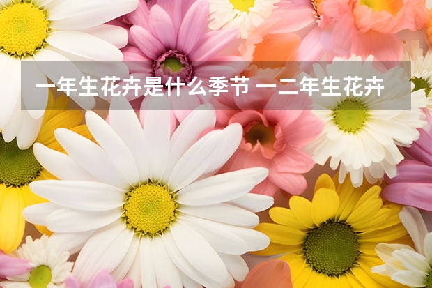 一年生花卉是什么季节 一二年生花卉是指什么,有哪些类型