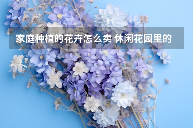 家庭种植的花卉怎么卖 休闲花园里的花什么时候卖