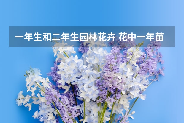 一年生和二年生园林花卉 花中一年苗两年苗有什么区别