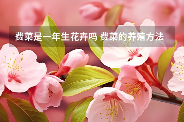 费菜是一年生花卉吗 费菜的养殖方法和注意事项