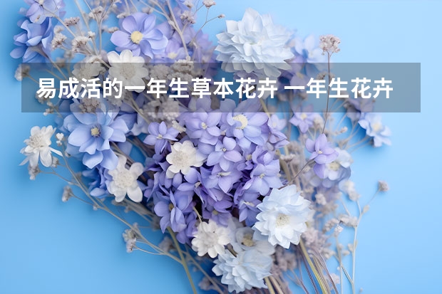 易成活的一年生草本花卉 一年生花卉有哪些