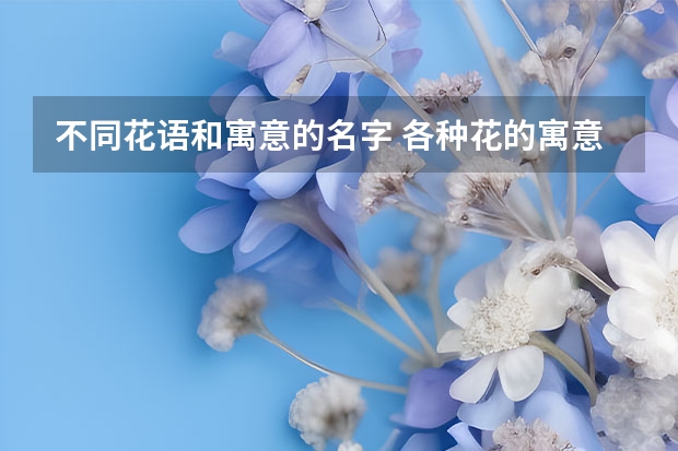 不同花语和寓意的名字 各种花的寓意及花语象征大全