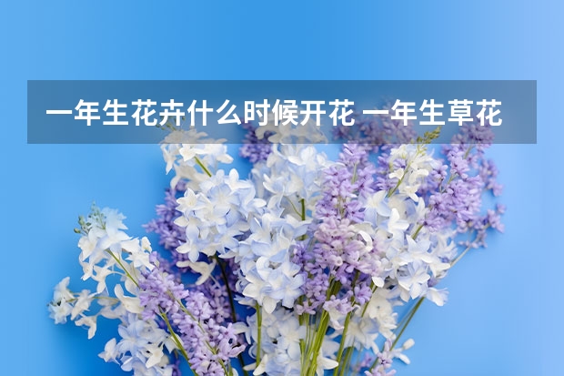 一年生花卉什么时候开花 一年生草花的介绍