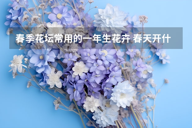 春季花坛常用的一年生花卉 春天开什么花，春天适合种的花草有哪些