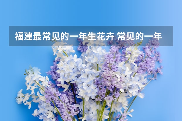 福建最常见的一年生花卉 常见的一年生花卉有哪些?