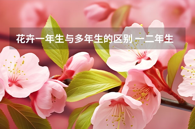 花卉一年生与多年生的区别 一二年生花卉的定义