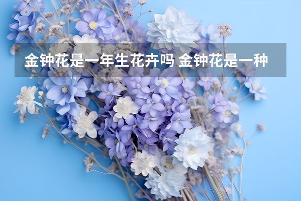 金钟花是一年生花卉吗 金钟花是一种多年生植物