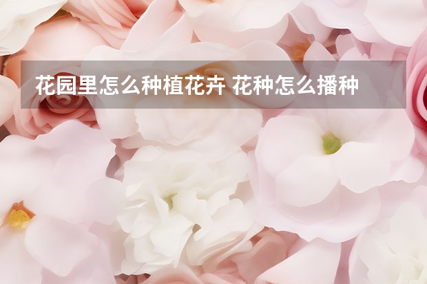 花园里怎么种植花卉 花种怎么播种 花种子怎么种