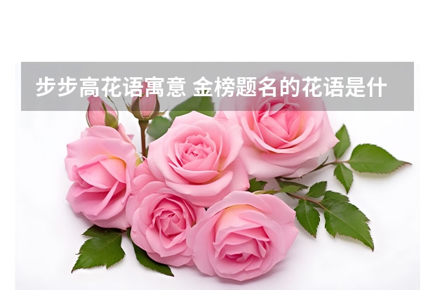 步步高花语寓意 金榜题名的花语是什么？