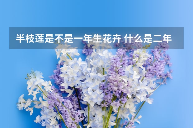 半枝莲是不是一年生花卉 什么是二年生花卉？