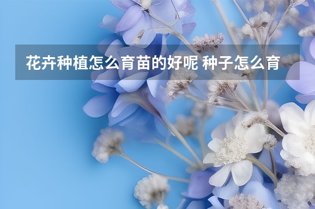 花卉种植怎么育苗的好呢 种子怎么育苗,花种子怎么育苗