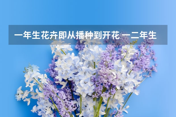 一年生花卉即从播种到开花 一二年生花卉的定义