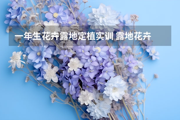 一年生花卉露地定植实训 露地花卉 温室花卉 一年生花卉 二年生花卉 宿根花卉 球根花卉的主要园林应用方式是什么？