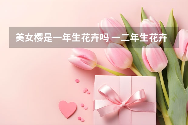 美女樱是一年生花卉吗 一二年生花卉是指什么,有哪些类型