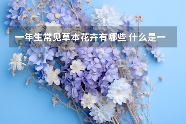 一年生常见草本花卉有哪些 什么是一年生草本植物