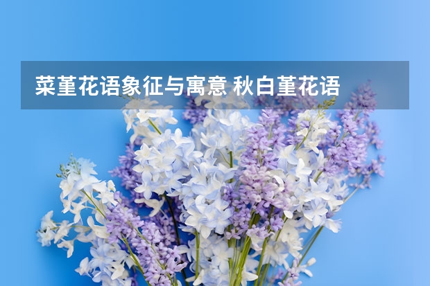 菜堇花语象征与寓意 秋白堇花语