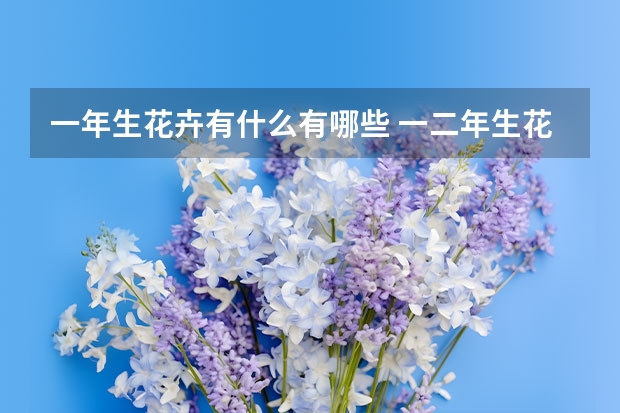 一年生花卉有什么有哪些 一二年生花卉是指什么,有哪些类型