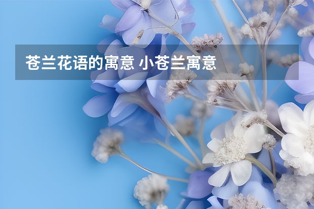 苍兰花语的寓意 小苍兰寓意